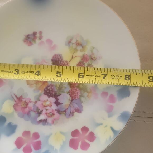 Thomas Sevrus Bavaria Plate Leuchtenberg, Germany Rasberries and Roses Antique - Picture 8 of 10